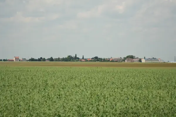 Borne de Recharge 91 Installateur borne de recharge Congerville-Thionville